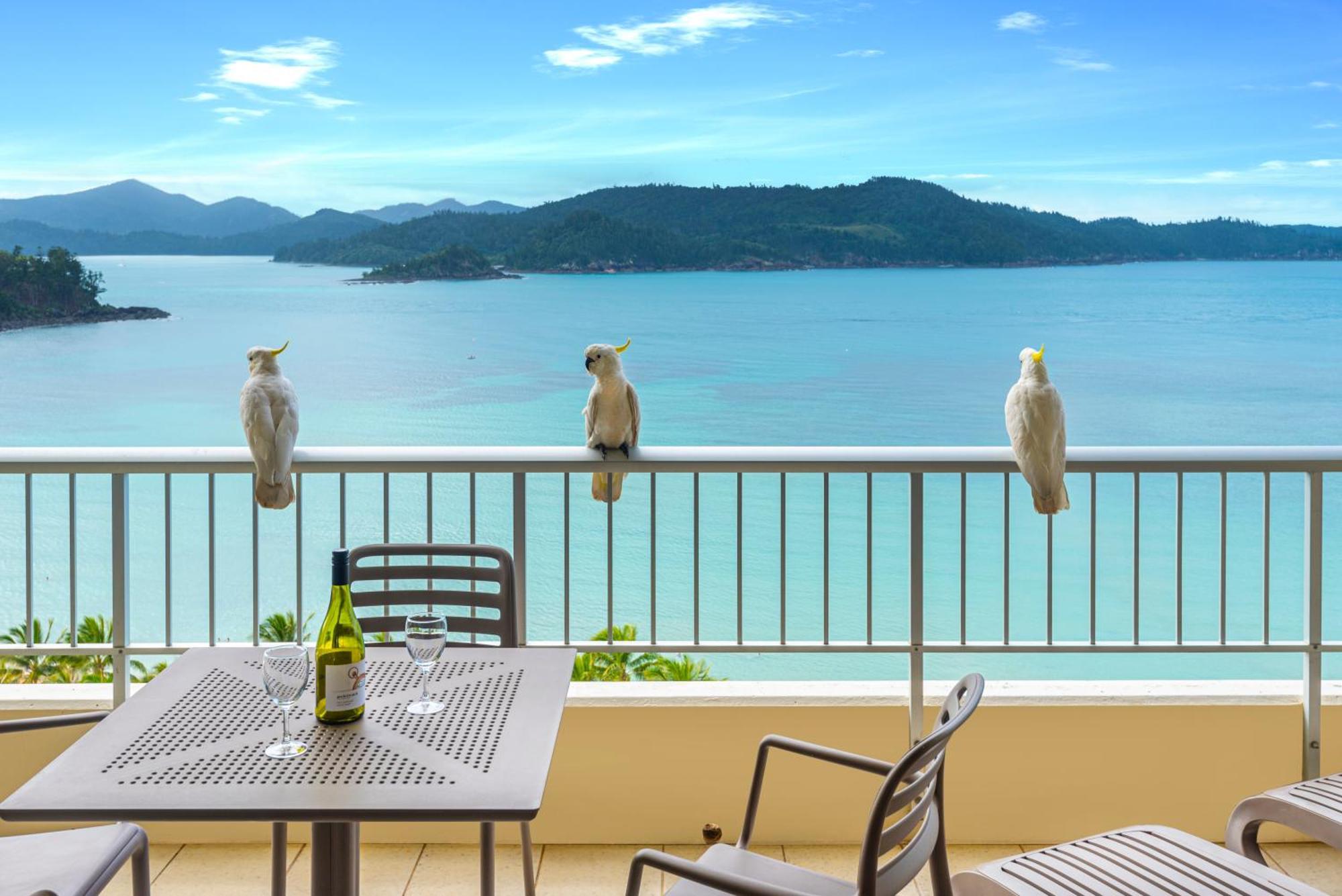 Whitsunday Apartments On Hamilton Island By Hiha 외부 사진